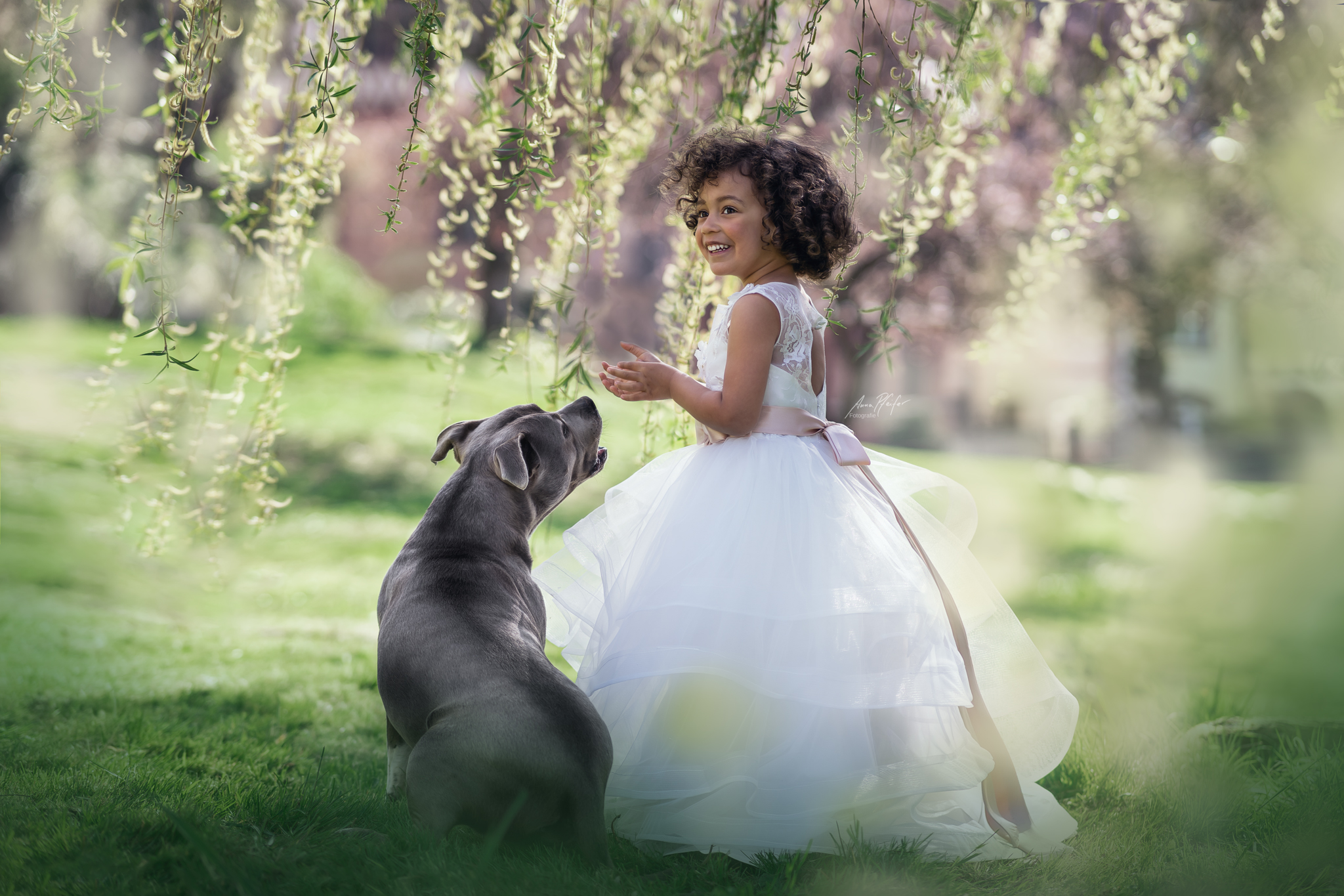 kleines Mädchen neben ihrem Hund auf grüner Wiese unter Trauerweide mit herabhängenden Zweigen