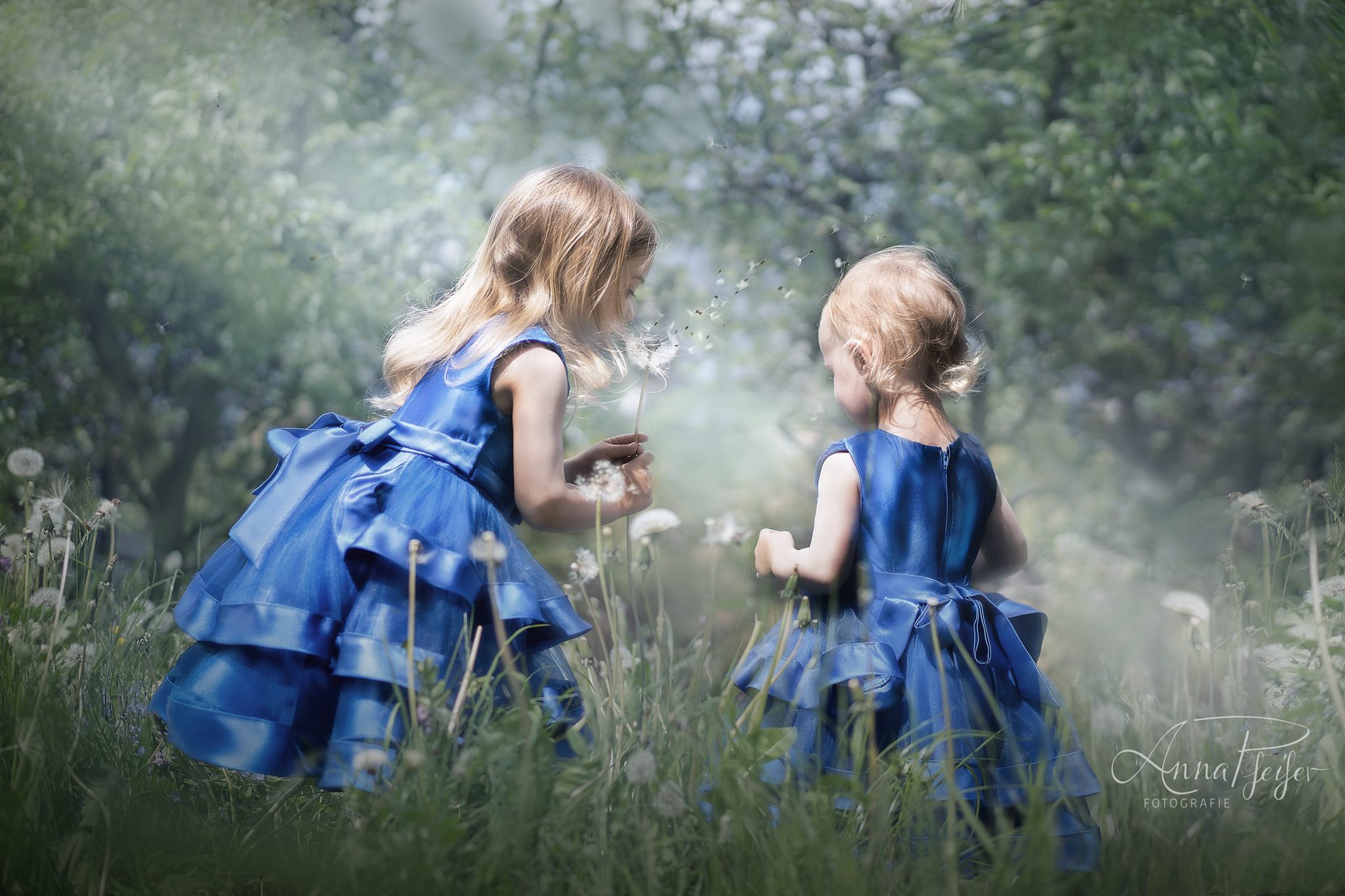 Mädchen in blauen Kleidern beim Blumen pflücken